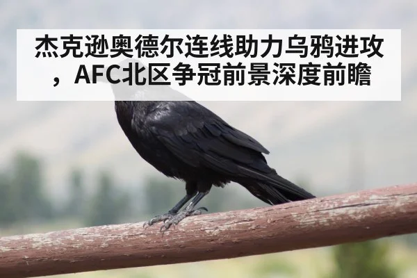 杰克逊奥德尔连线助力乌鸦进攻,AFC北区争冠前景深度前瞻