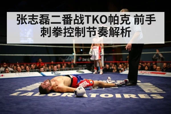 张志磊二番战TKO帕克 前手刺拳控制节奏解析 | kaiyun cc